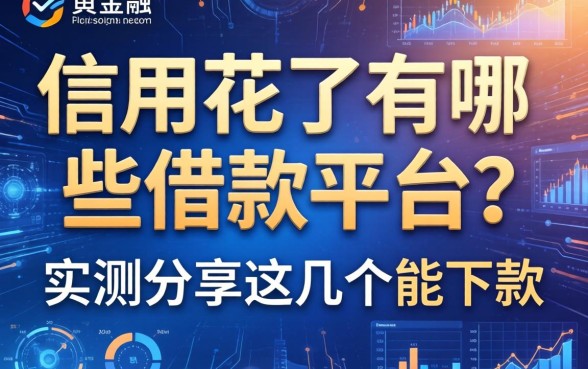信用花了有哪些借款平台？实测分享这几个能下款