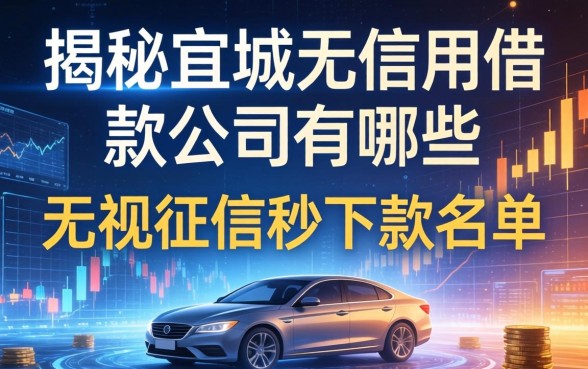 揭秘宜城无信用借款公司有哪些，无视征信秒下款名单