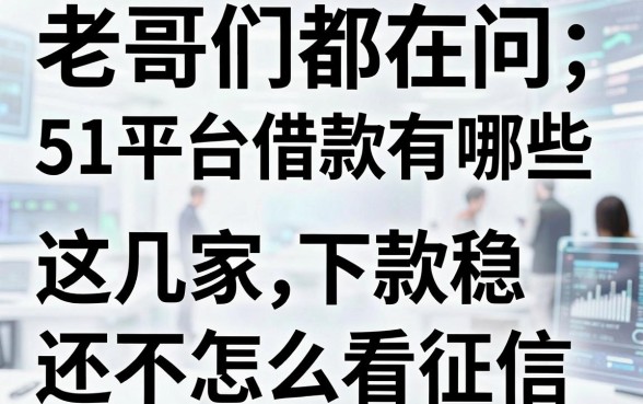 老哥们都在问51平台借款有哪些，这几家下款稳还不怎么看征信