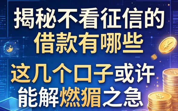揭秘不看征信的借款有哪些，这几个口子或许能解燃眉之急