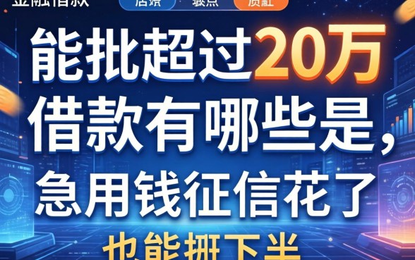 能批超过20万的借款有哪些是急用钱征信花了也能下的