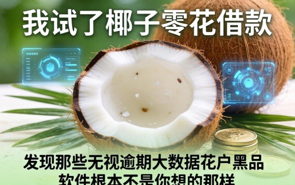 我试了椰子零花借款,发现那些无视逾期大数据花户黑户软件根本不是你想的那样