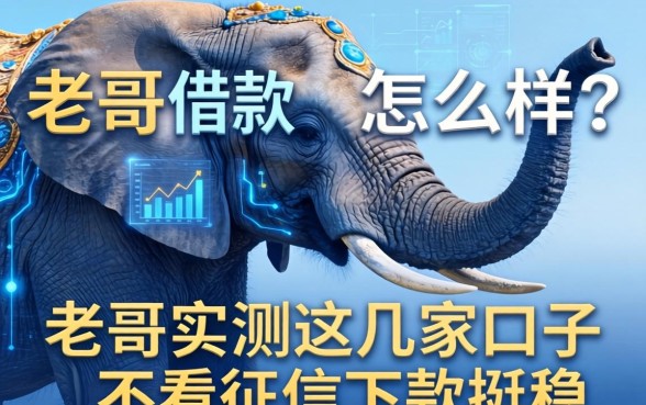 大象借款怎么样？老哥实测这几家口子不看征信下款挺稳