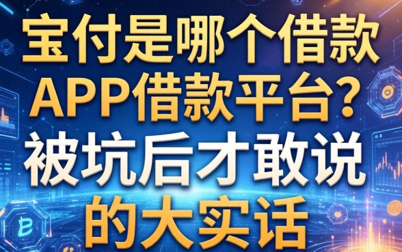 宝付是哪个借款app借款平台？被坑后才敢说的大实话