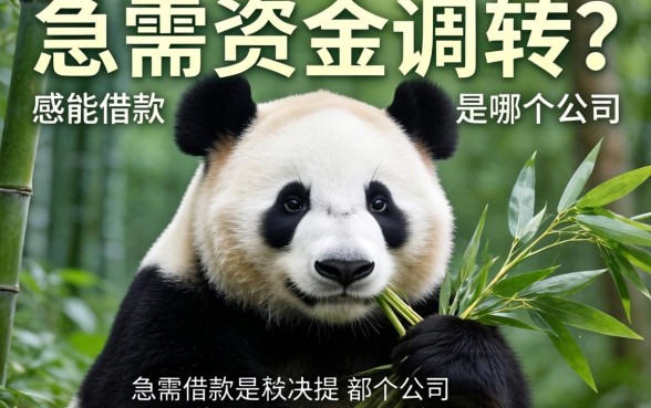 急需资金周转？熊猫借款是哪个公司的？揭秘背后真相与靠谱平台推荐