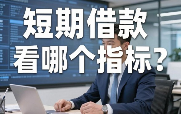 短期借款看哪个指标？内行人只看这几项数据
