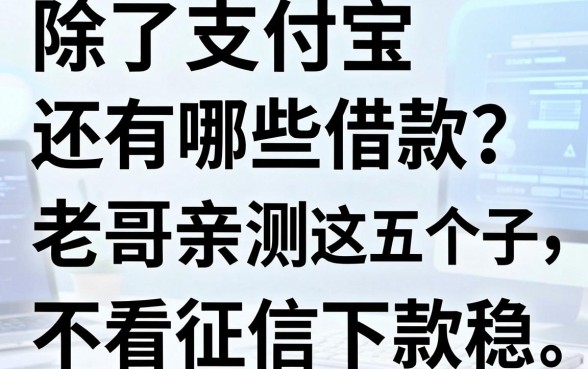 除了支付宝还有哪些借款?老哥亲测这五个口子,不看征信下款稳