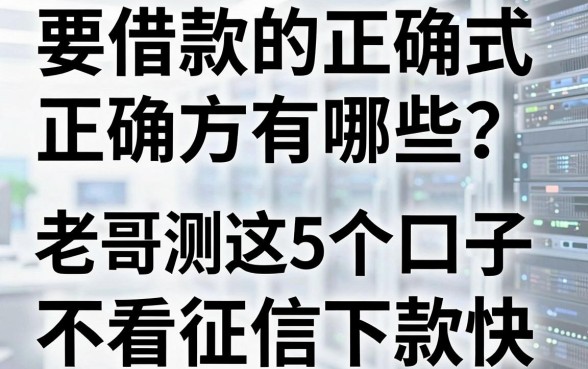 要借款的正确方式有哪些?老哥亲测这5个口子不看征信下款快