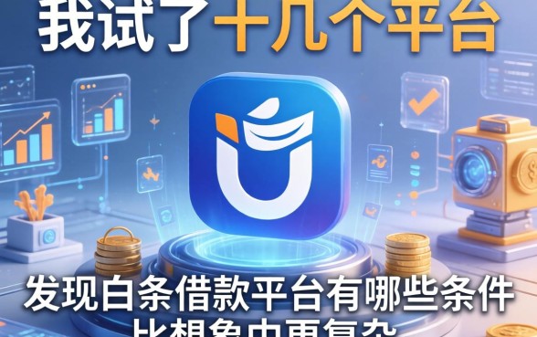 我试了十几个平台,发现白条借款平台有哪些条件比想象中更复杂