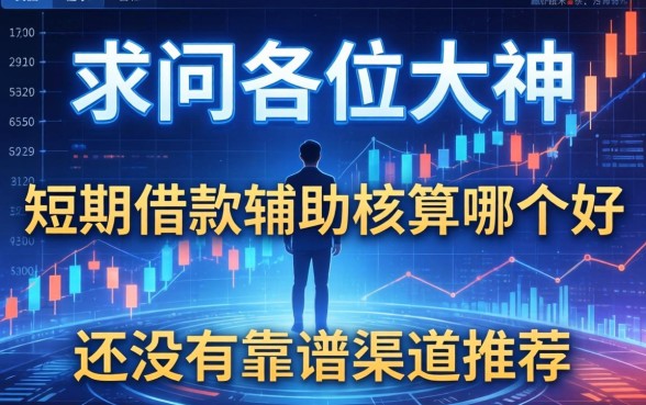 求问各位大神,短期借款辅助核算哪个好,有没有靠谱渠道推荐?