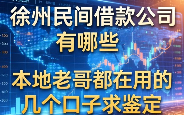徐州民间借款公司有哪些？本地老哥都在用的几个口子求鉴定