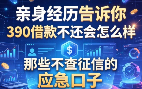 亲身经历告诉你390借款不还会怎么样，以及那些不查征信的应急口子