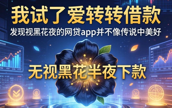 我试了爱转转借款,发现无视黑花半夜下款的网贷app并不像传说中那么美好