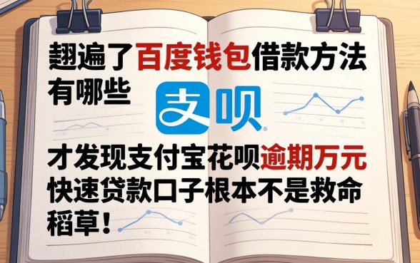 我翻遍了百度钱包借款方法有哪些，才发现支付宝花呗逾期万元快速贷款口子根本不是救命稻草