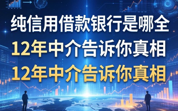 纯信用借款的银行是哪个?12年中介告诉你真相