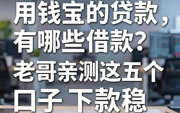 用钱宝的贷款有哪些借款?老哥亲测这五个口子下款稳