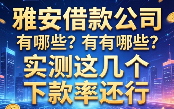 雅安借款公司有哪些？实测这几个下款率还行