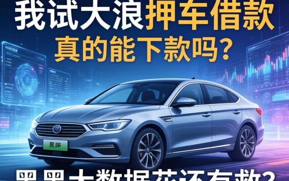 我试过大浪押车借款，真的能下款吗？黑户大数据花还有救吗