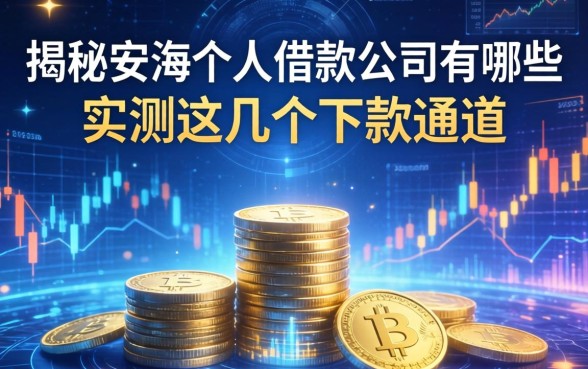 揭秘安海个人借款公司有哪些，实测这几个下款通道
