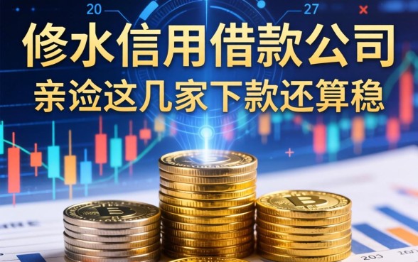 修水信用借款公司有哪些，我亲测这几家下款还算稳
