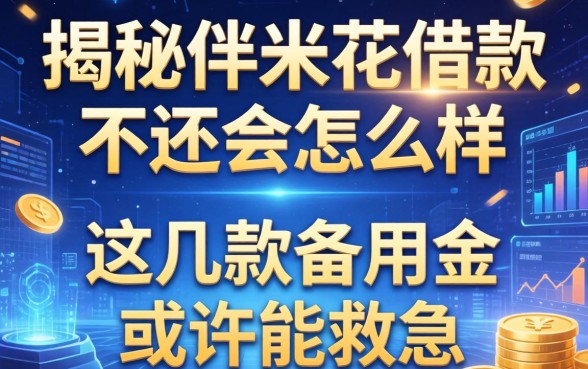 揭秘伴米花借款不还会怎么样，这几款备用金或许能救急