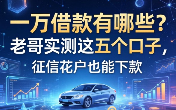 一万借款有哪些？老哥实测这五个口子，征信花户也能下款
