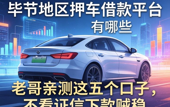 毕节地区押车借款平台有哪些?老哥亲测这五个口子,不看征信下款贼稳