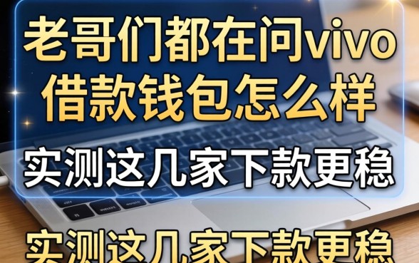 老哥们都在问vivo借款钱包怎么样,实测这几家下款更稳