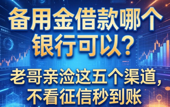 备用金借款哪个银行可以？老哥亲测这五个渠道，不看征信秒到账