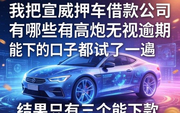 我把宣威押车借款公司有哪些和高炮无视逾期能下的口子都试了一遍，结果只有三个能下款