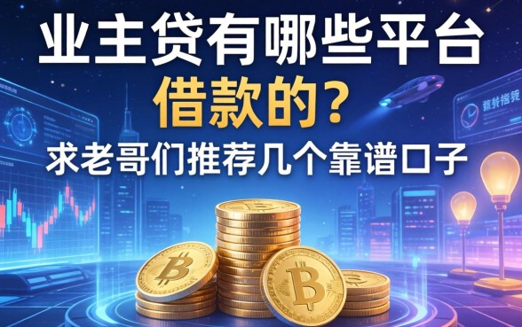 业主贷有哪些平台可以借款的?求老哥们推荐几个靠谱的口子