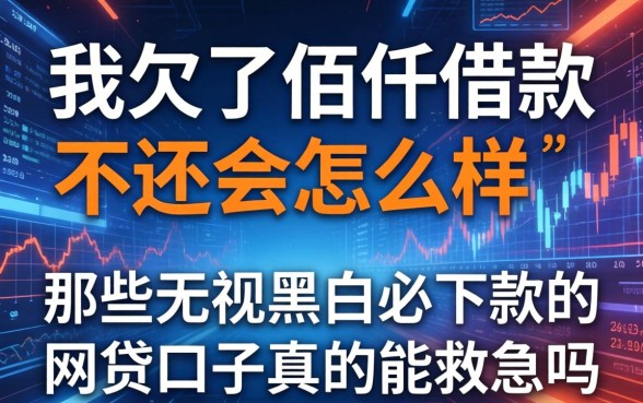 我欠了佰仟借款不还会怎么样,那些无视黑白必下款的网贷口子真的能救急吗