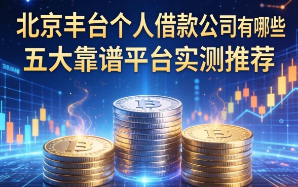 北京丰台个人借款公司有哪些？五大靠谱平台实测推荐