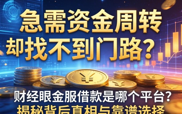 急需资金周转却找不到门路？财经眼金服借款是哪个平台？揭秘背后真相与靠谱选择