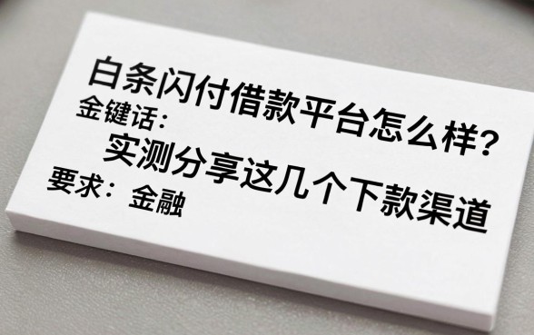 白条闪付借款平台怎么样?实测分享这几个下款渠道