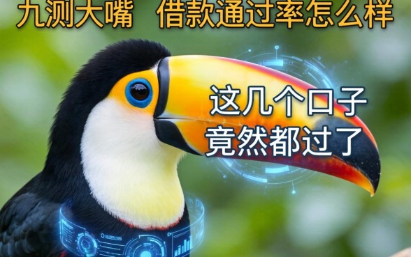 实测大嘴鸟借款通过率怎么样，这几个口子竟然都过了