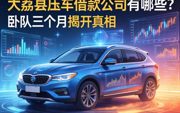 大荔县压车借款公司有哪些？我卧底三个月揭开真相