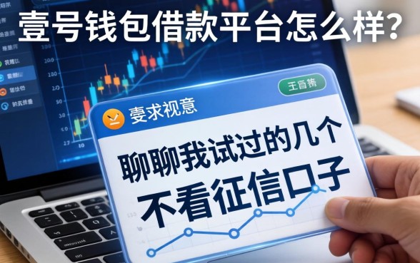 壹号钱包借款平台怎么样？聊聊我试过的几个不看征信的口子