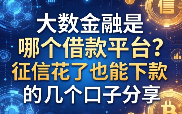 大数金融是哪个借款平台？征信花了也能下款的几个口子分享