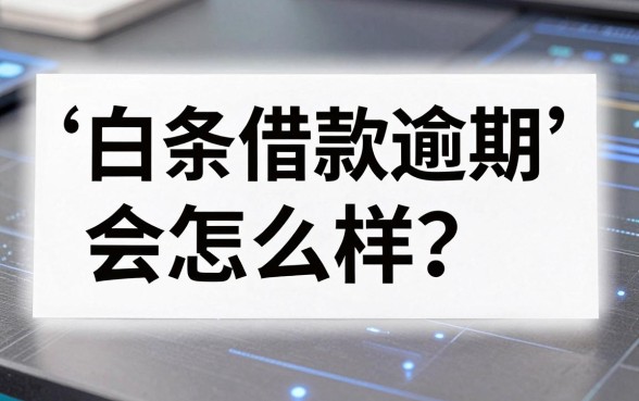 白条借款逾期会怎么样?盘点几个还能下款的口子