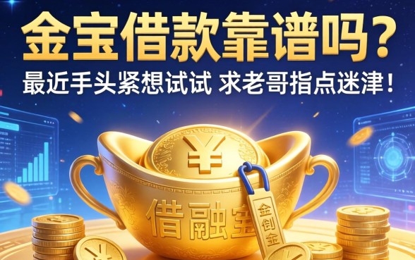 大金宝借款靠谱吗？最近手头紧想试试，求老哥指点迷津！