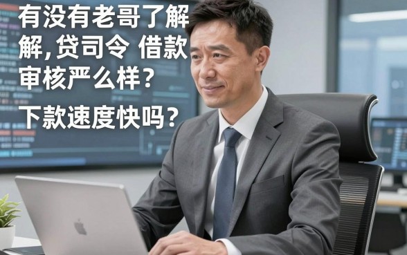 有没有老哥了解贷司令借款怎么样?审核严不严,下款速度快吗?