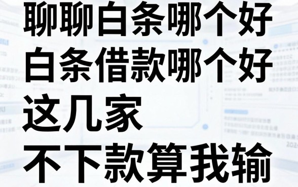 聊聊白条借款哪个好,这几家不下款算我输
