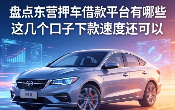 盘点东营押车借款平台有哪些,这几个口子下款速度还可以