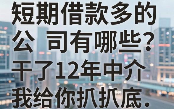 短期借款多的公司有哪些？干了12年中介，我给你扒扒底