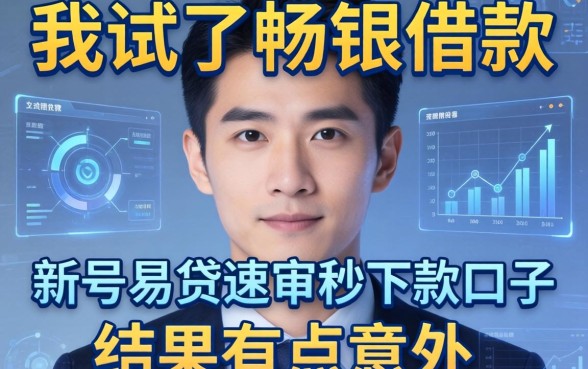 我试了畅银借款和新号易贷速审秒下款口子,结果有点意外