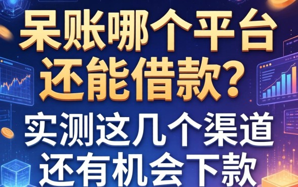 呆账哪个平台还能借款？实测这几个渠道还有机会下款