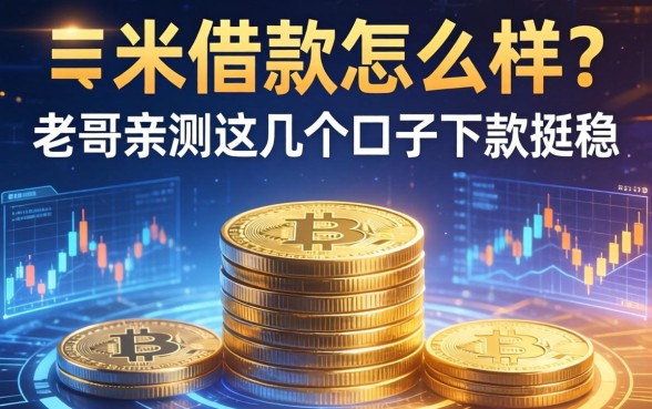 一米借款怎么样？老哥亲测这几个口子下款挺稳
