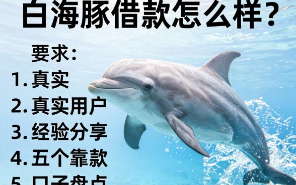 白海豚借款怎么样？真实用户经验分享及五个靠谱下款口子盘点