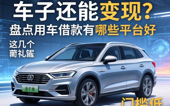 车子还能变现?盘点用车借款有哪些平台好,这几个门槛低